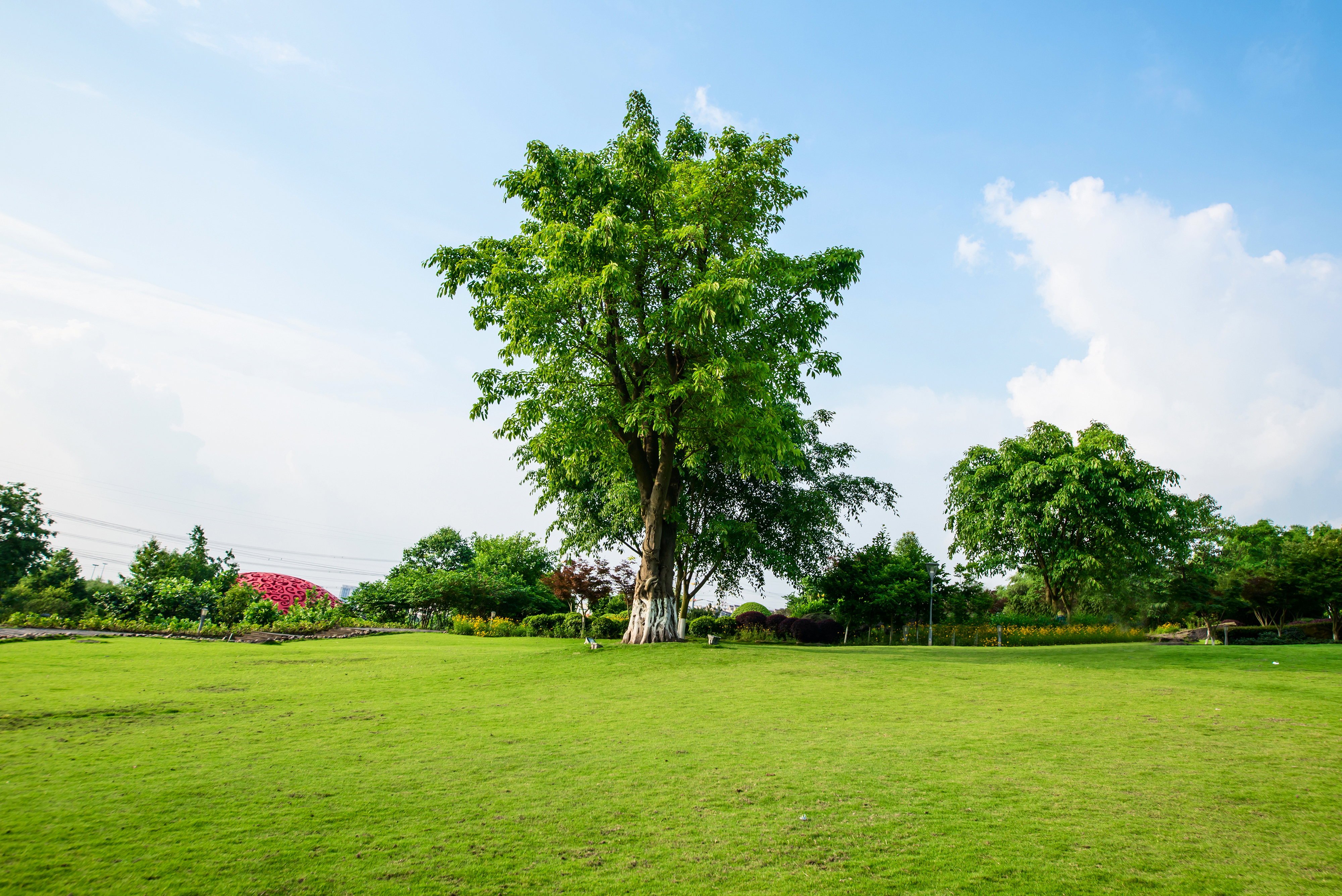 lawn care service